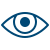 Vision Icon